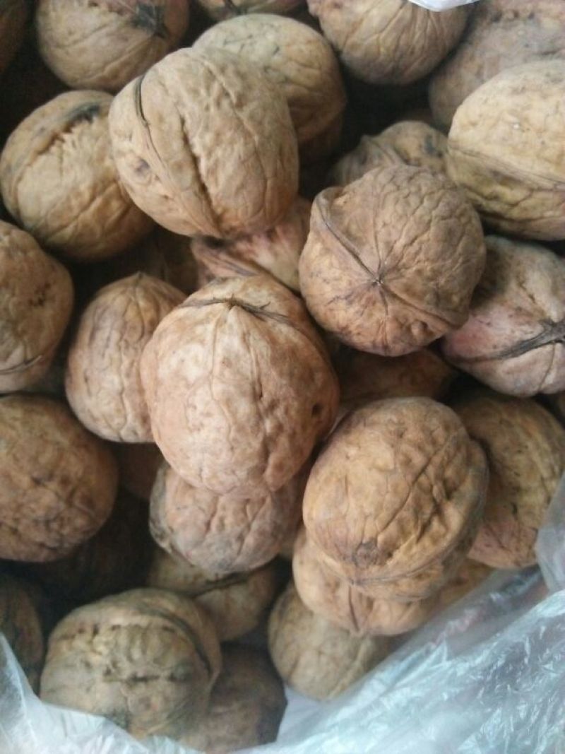 核桃去皮干