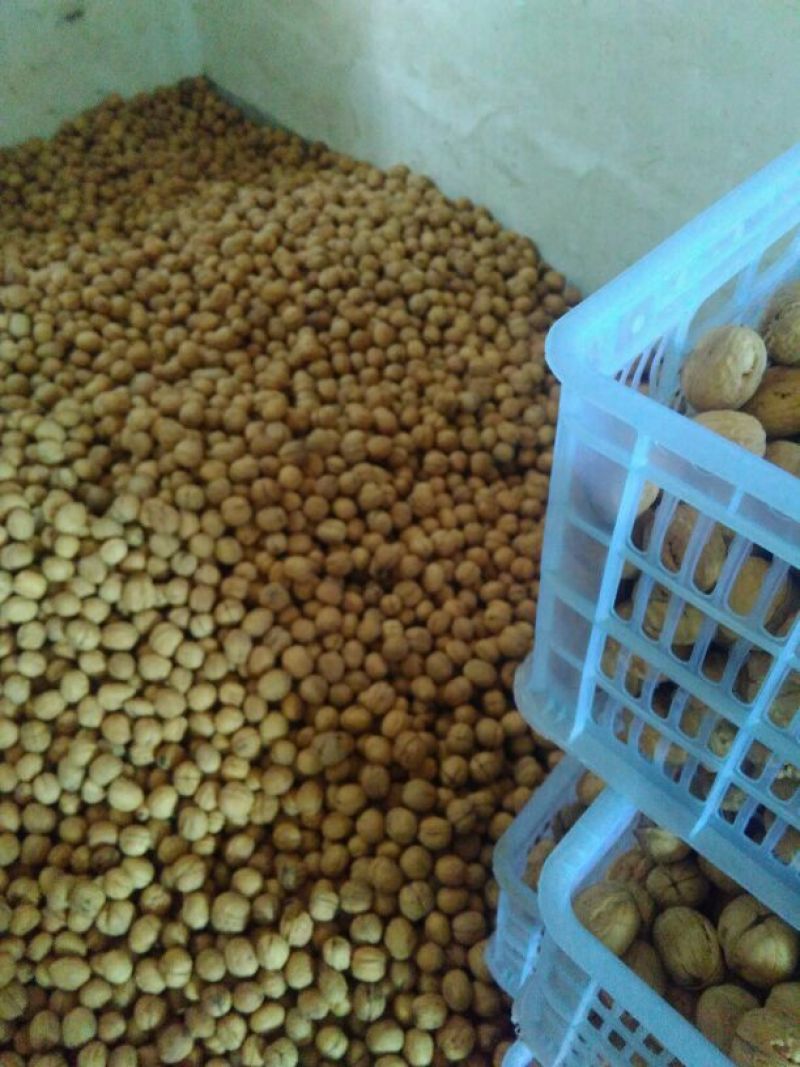 薄皮核桃30mm以上去皮干