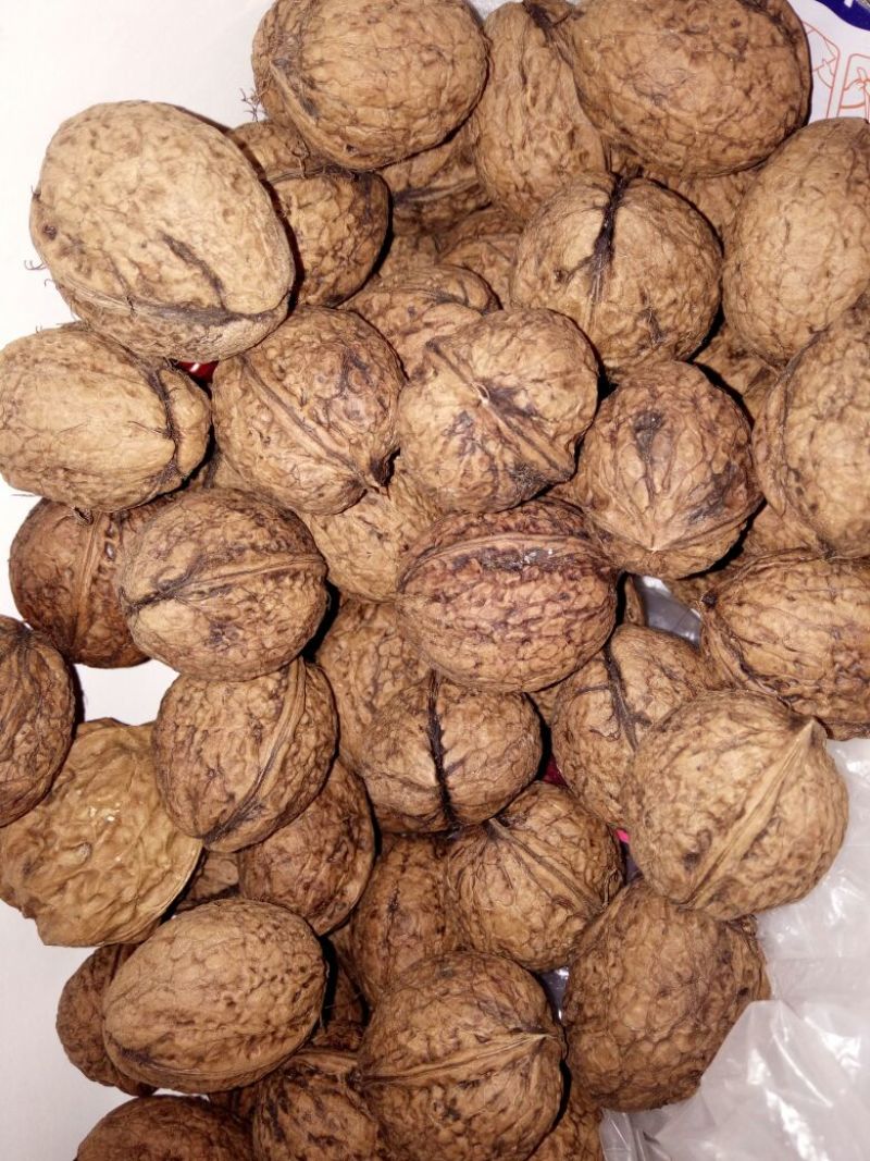 薄皮核桃25mm以下去皮干
