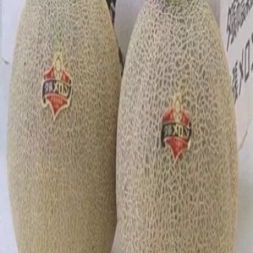 西州蜜瓜