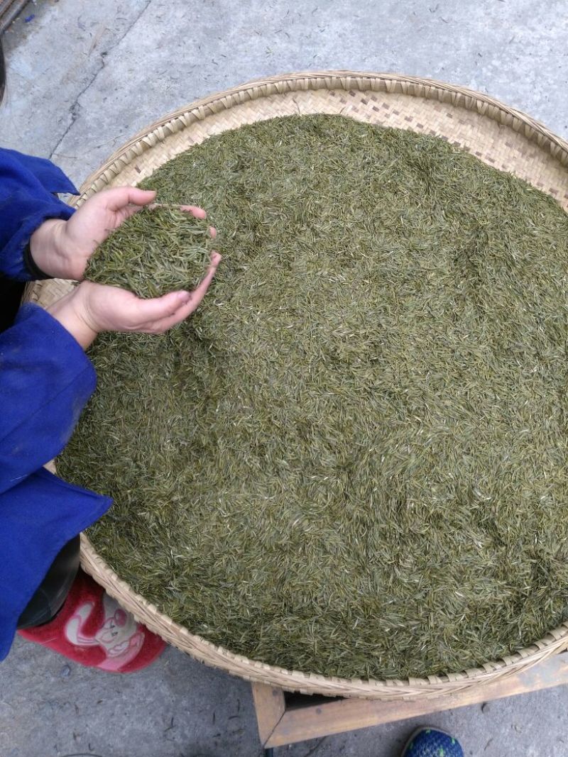 石阡苔茶特级