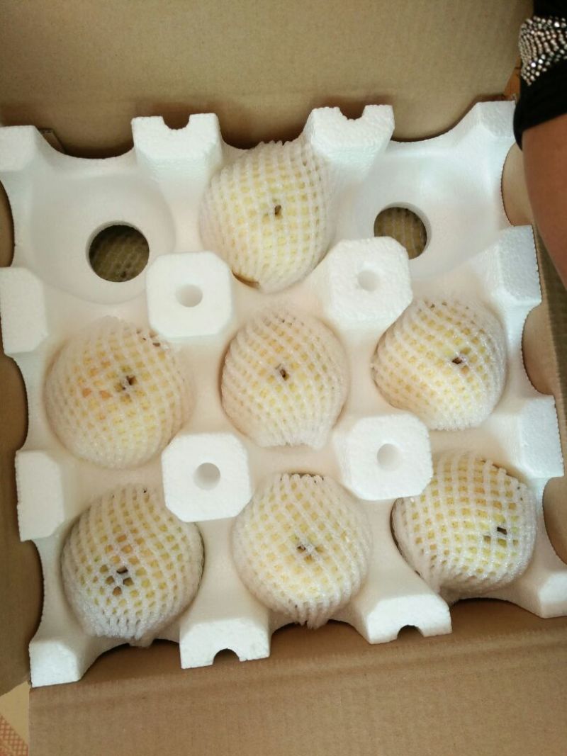 礼泉酥梨200~250g纸袋