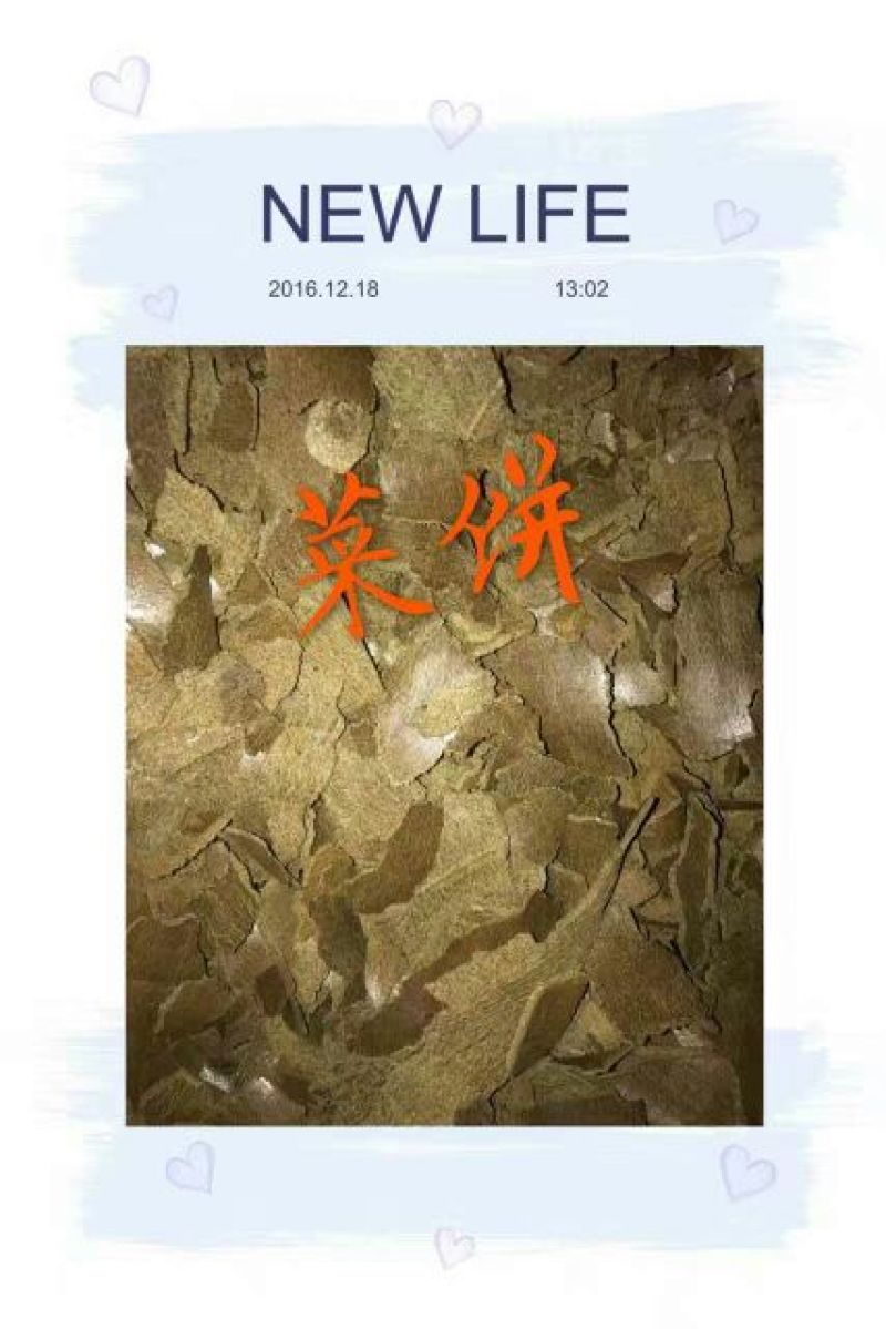 压榨菜籽油一级
