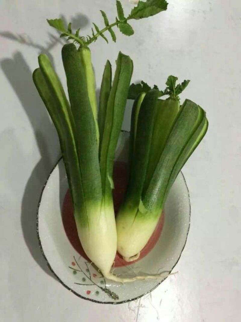 潍县青萝卜1~1.5斤起