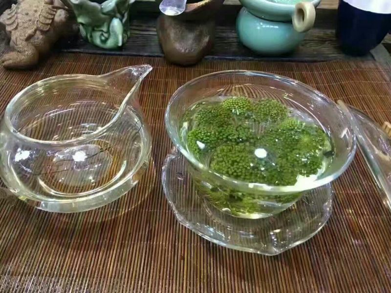 三七花无柄