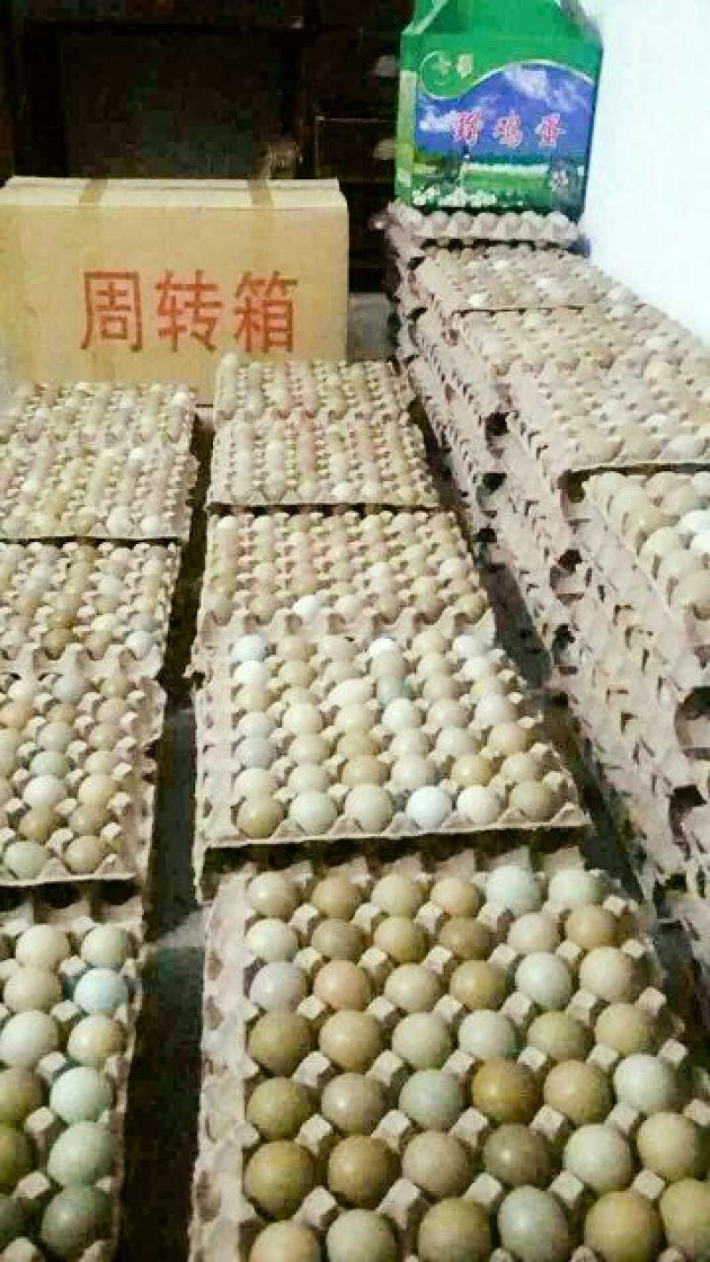 野鸡蛋食用50g以下