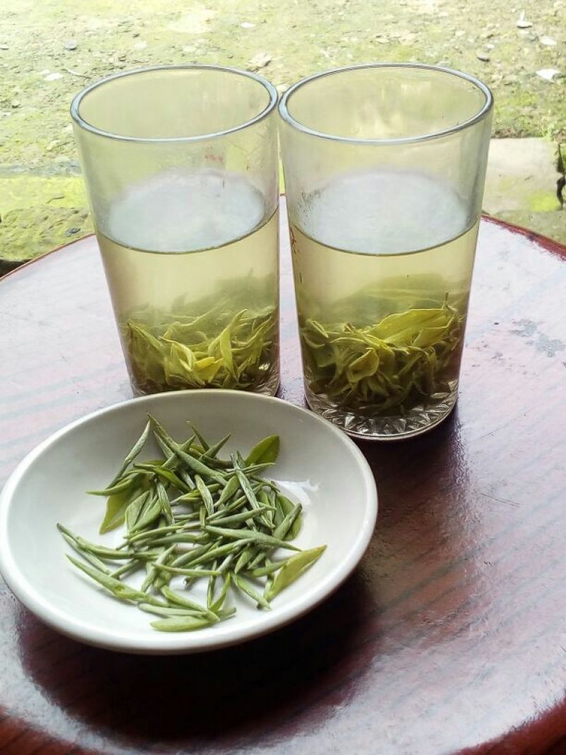 本山茶特级