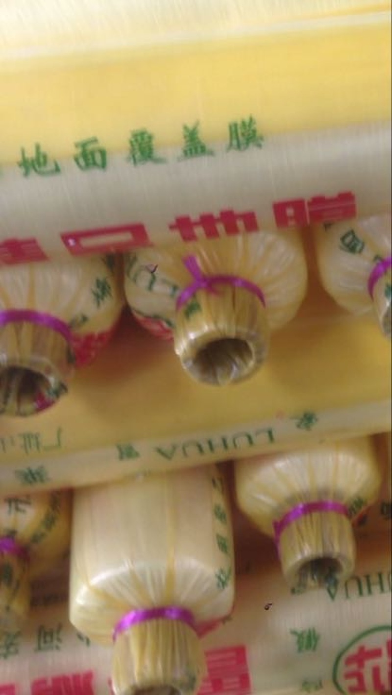 地膜