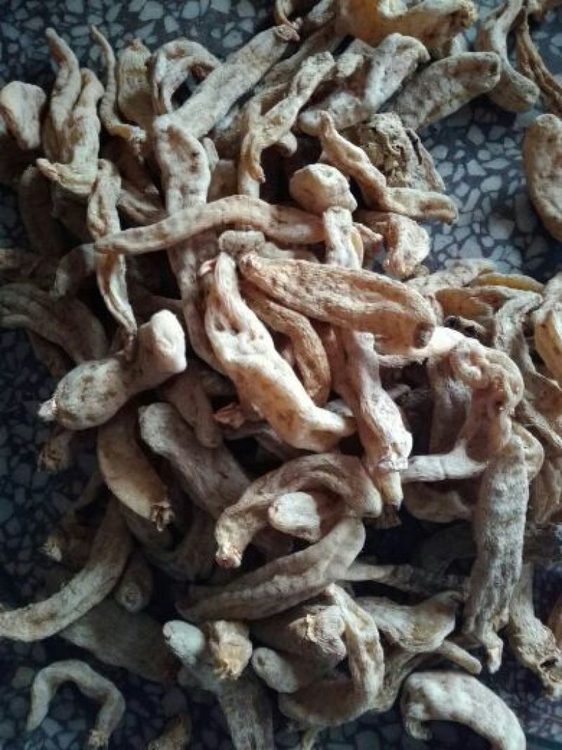 天麻一级