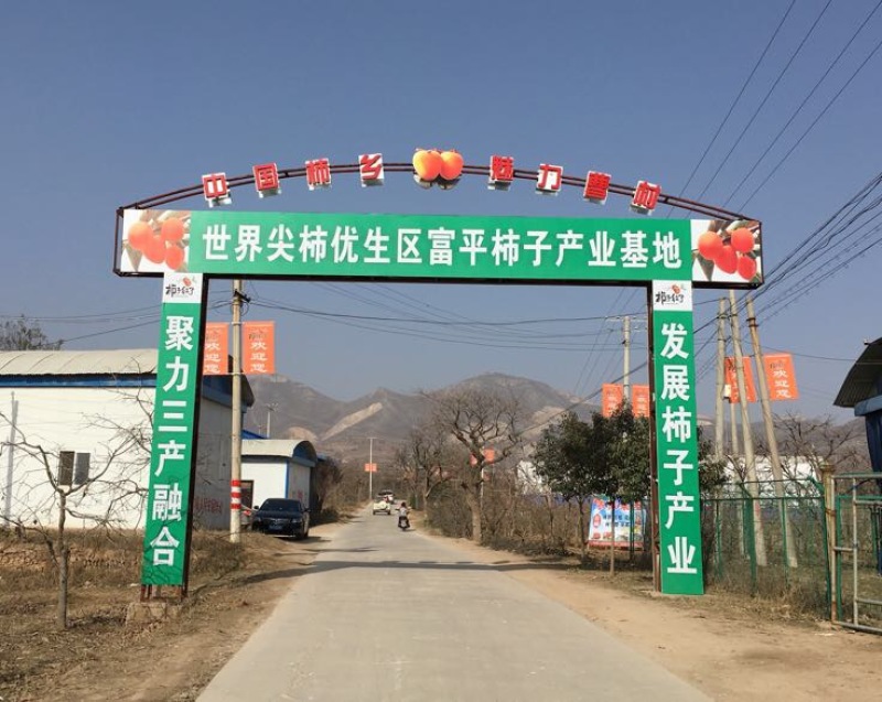 柿饼1~2两