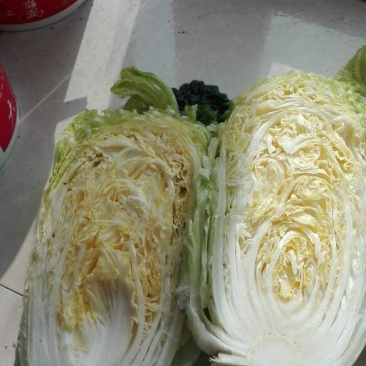 蔬菜