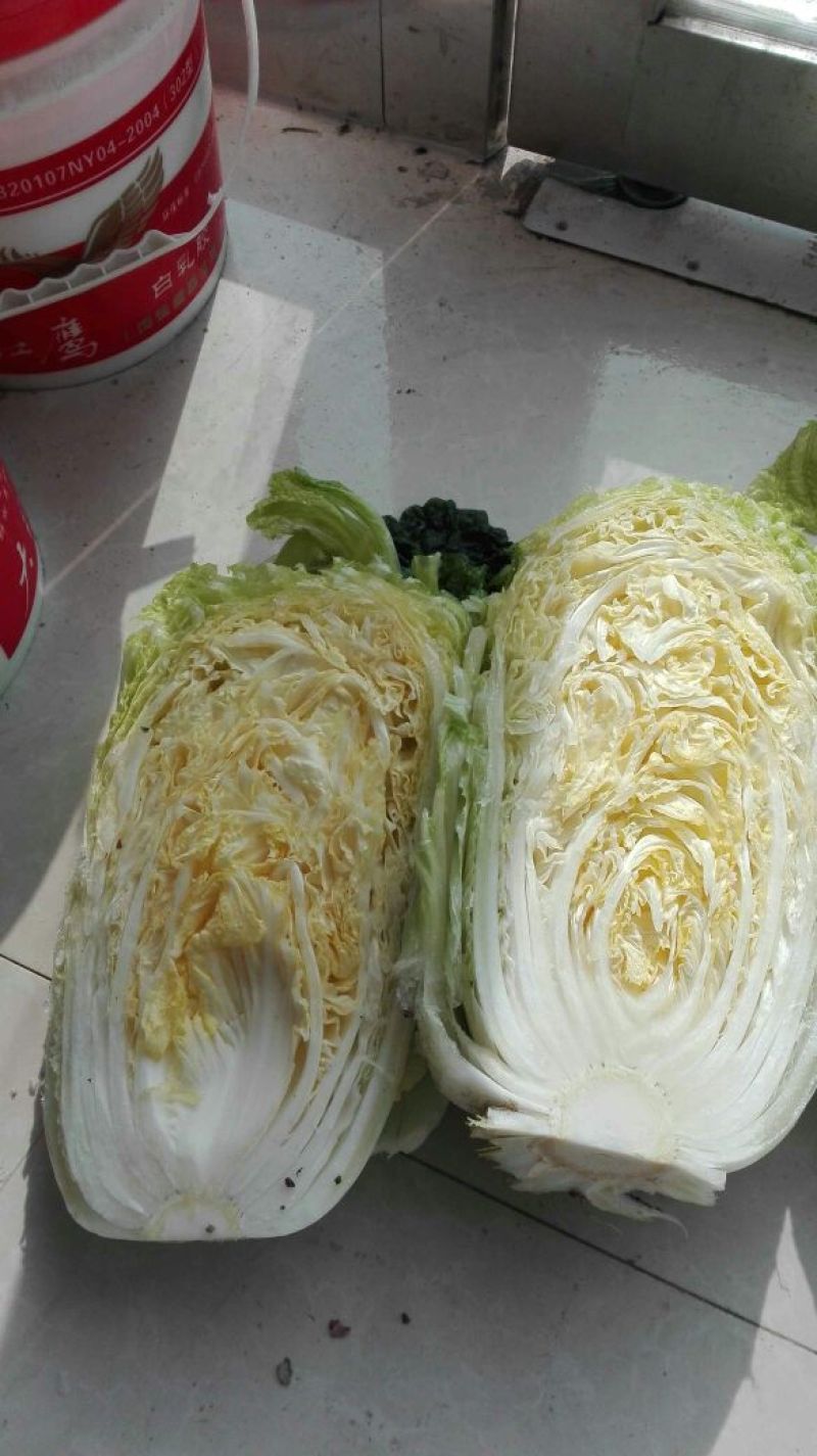 蔬菜