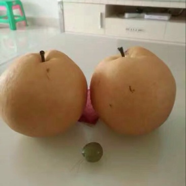 梨