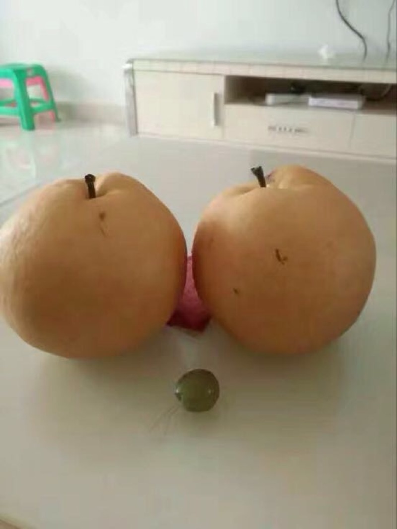 梨