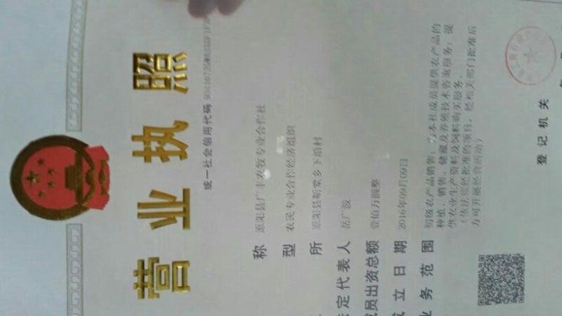 晚秋黄梨600g以上纸袋