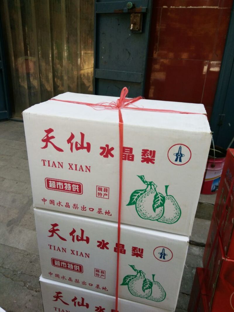 鸭梨膜袋