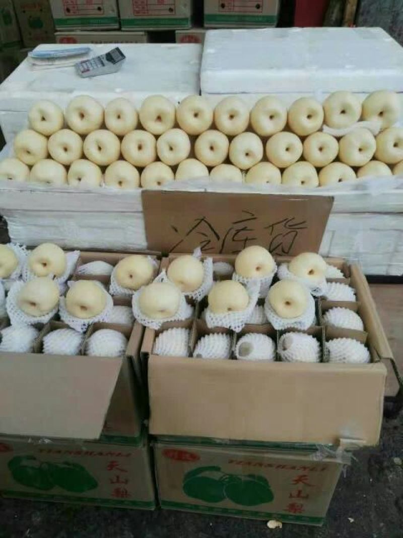 【优质】陕西蒲城酥梨，基地直发，纸袋150~200g