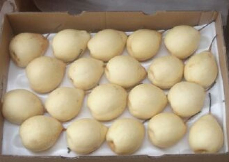 白梨500~550g纸加膜