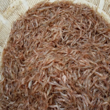 河虾冰鲜虾26~30只/kg