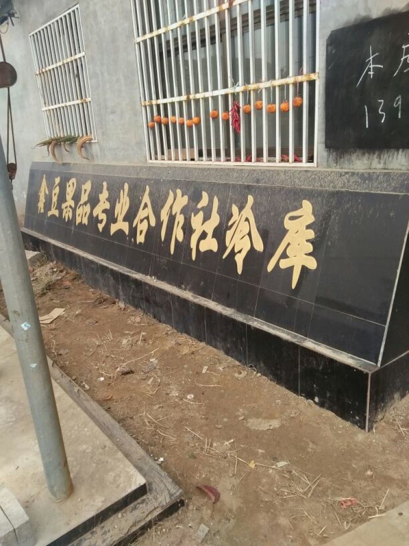 皇冠梨600g以上纸箱