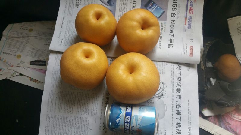 晚秋黄梨150~200g纸加膜