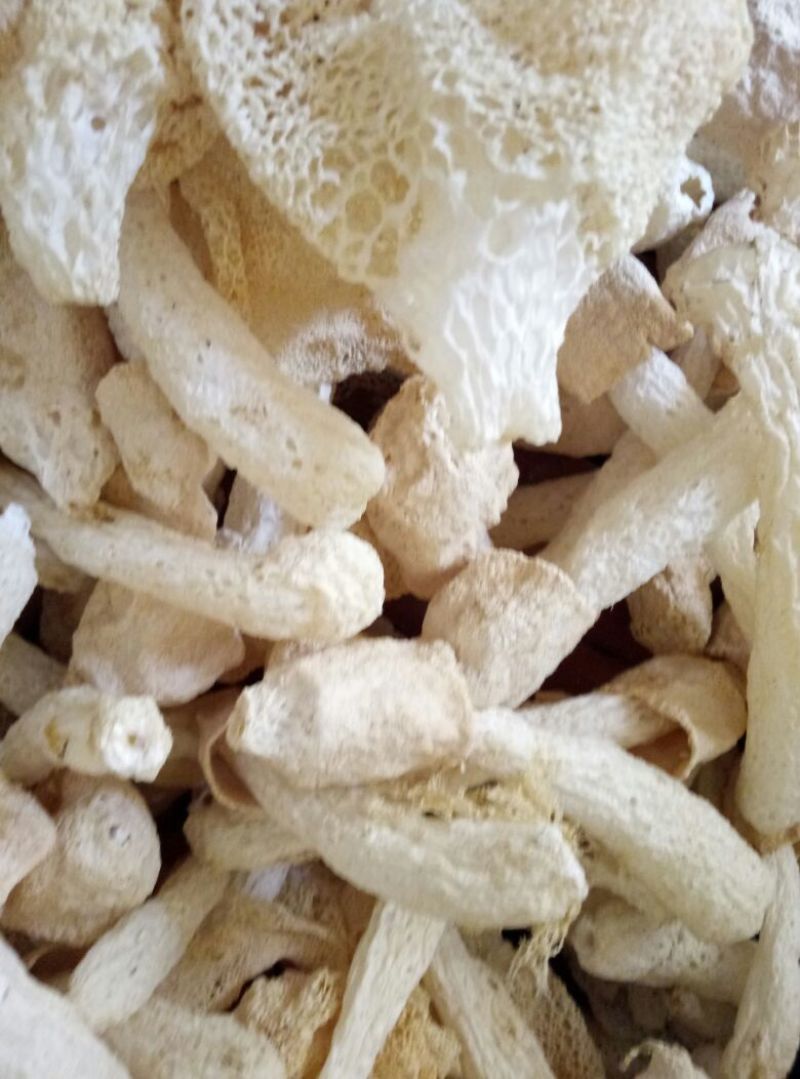 干竹荪一级