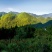 宣汉县巴山大峡谷农家土蜂蜜结晶蜜蜂蜜高山蜂蜜高山蜂蜜