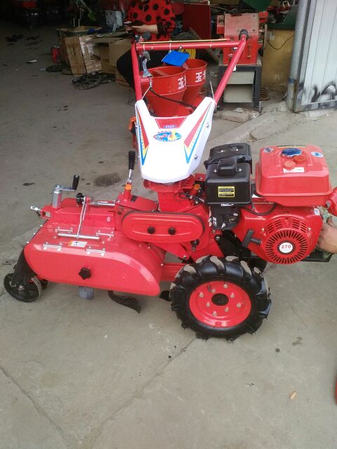 葱苗河北石家庄藁城市_批发_供应-一亩田农业