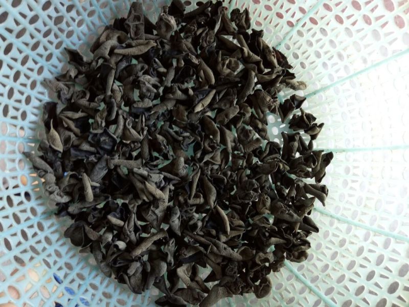 干木耳二级