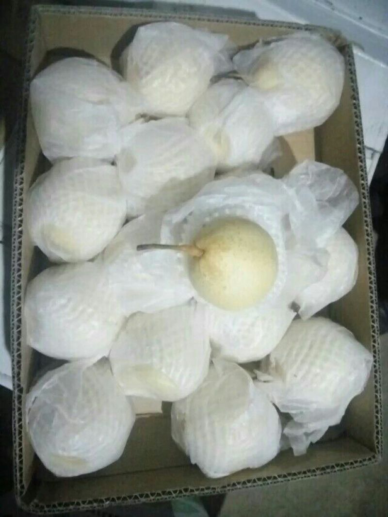 雪花梨