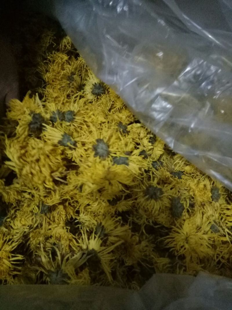 菊花茶
