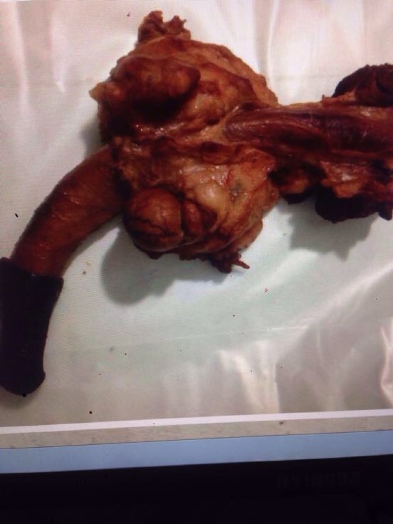 驴肉