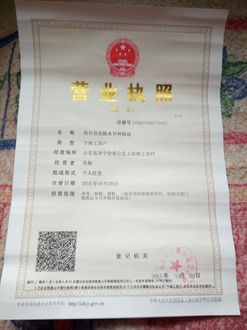 毛木耳一级
