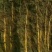 正宗温县18年垆土鲜铁棍山药
