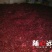 三樱椒八号上通货8成干