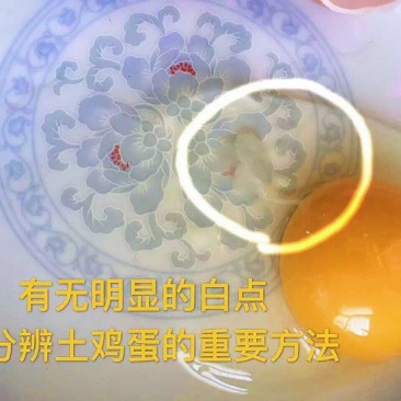 土鸡蛋