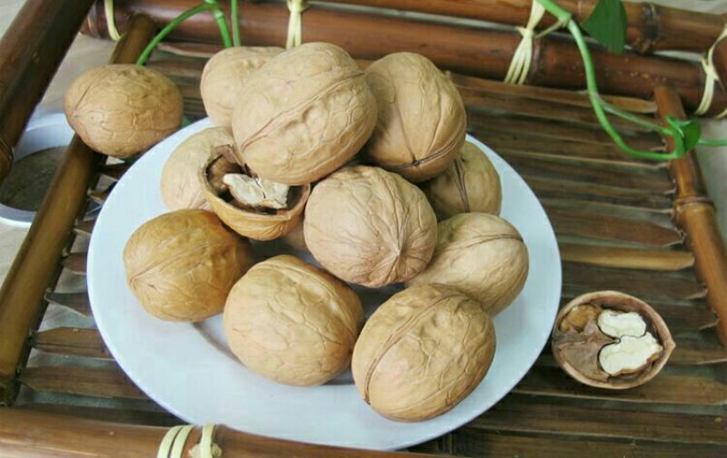 新疆核桃30mm以上去皮干