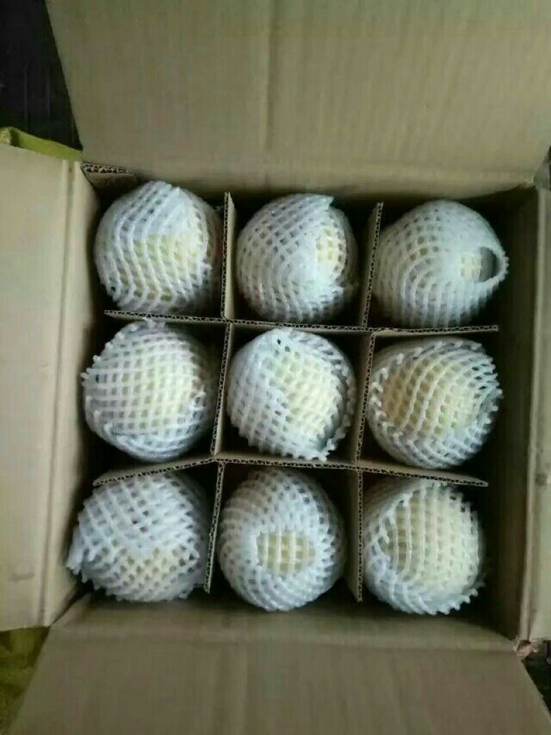礼泉酥梨60~100g纸加膜