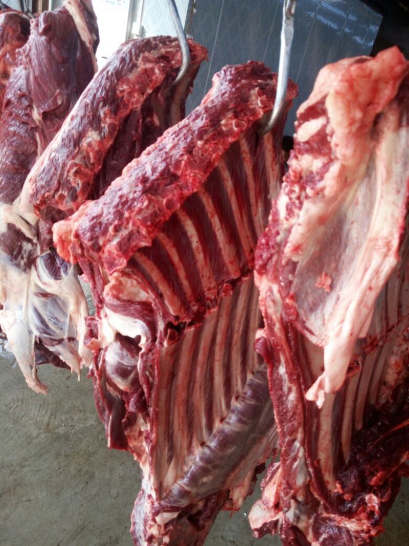 驴肉