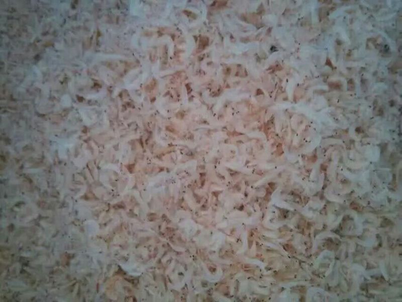 虾皮二级