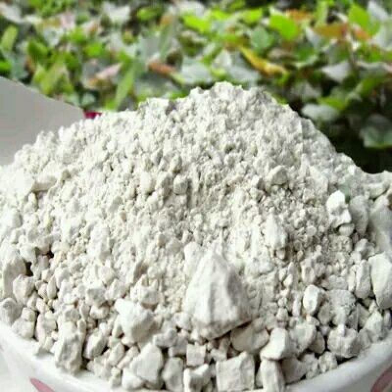 红薯粉面