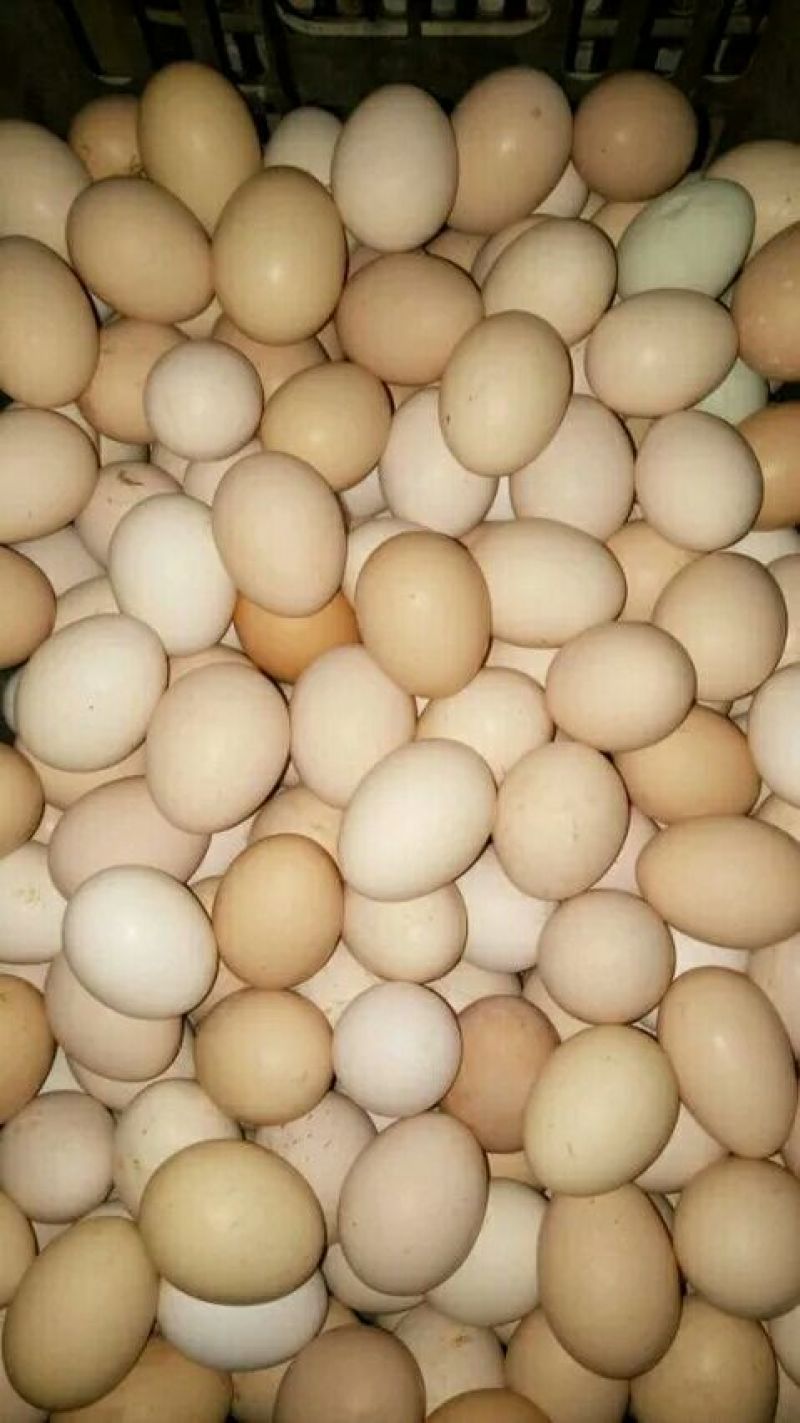 土鸡蛋食用50g以下