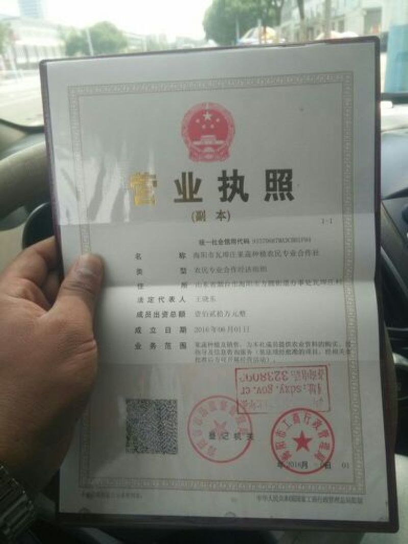 网纹瓜2斤以上椭圆形