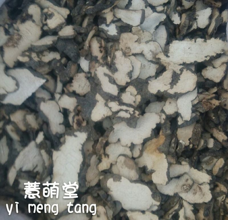 猪苓猪屎苓个