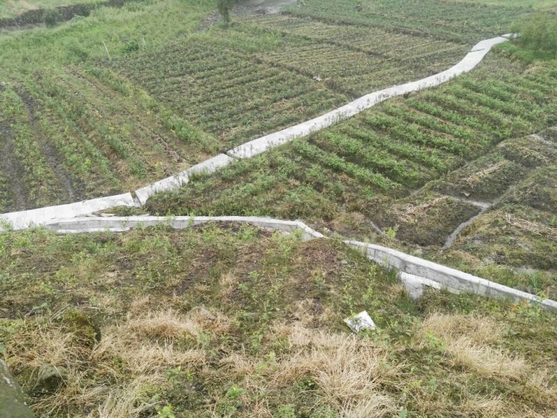 川茶二级