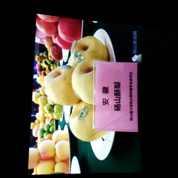 砀山梨350~400g纸箱