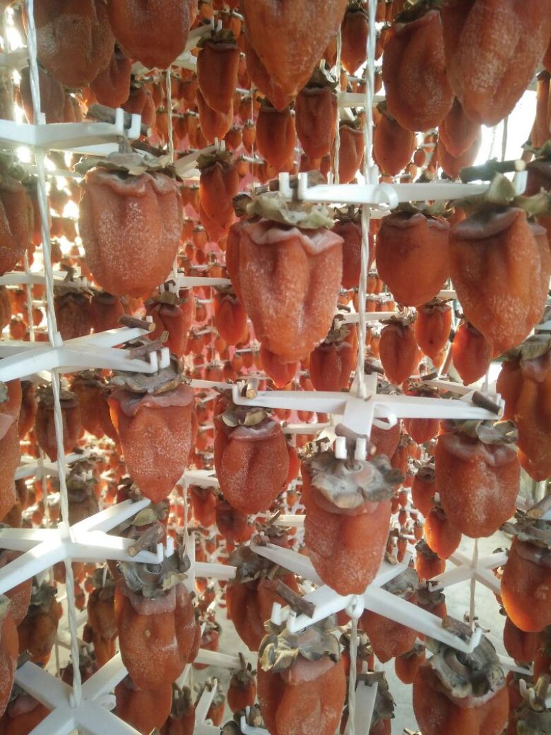 柿饼1~2两