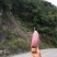 八月瓜