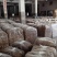 中国福建古田干品茶树菇特产