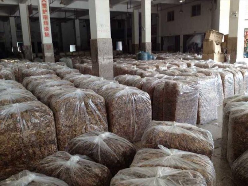 中国福建古田干品茶树菇特产